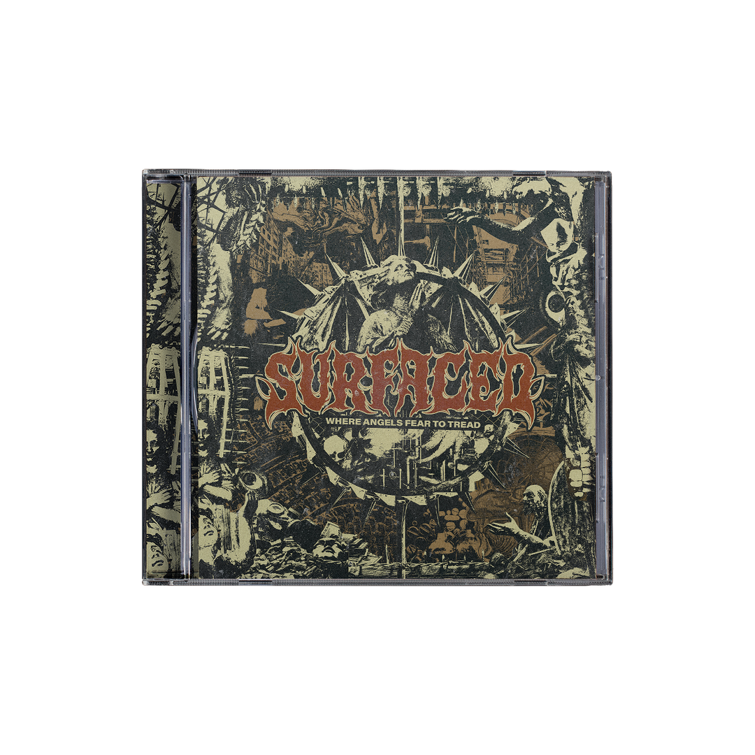 VulfpeckThrilloftheArts LP 2018 picture盤 VulfpeckThrilloftheArts LP 2018 picture盤