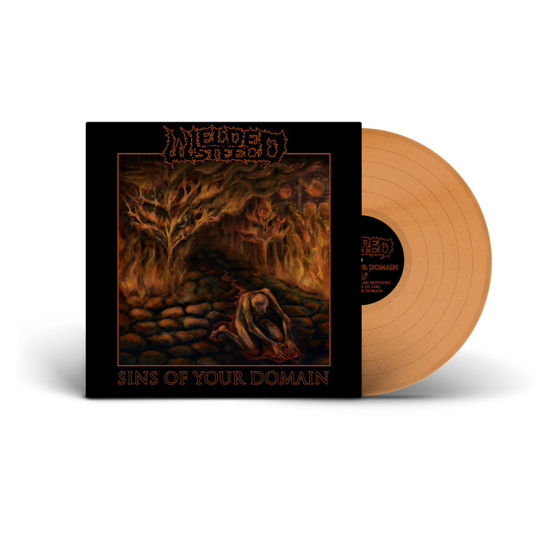Wielded Steel - Sins Of Your Domain Brass Vinyl – 1126 Records